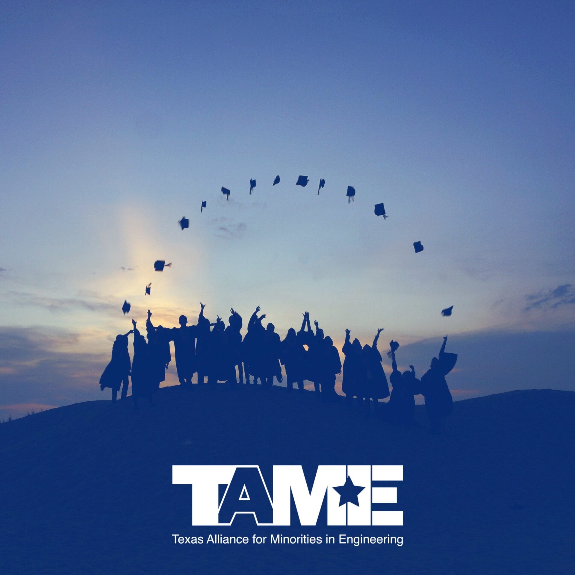 Calling all TAME graduating seniors!  Scholarship applications & letters of recommendation from TAME Club Sponsors are due at 11:59p on Monday, May 1st, 2017.